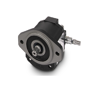 Casappa motor de engranajes PLM20,20R5-48WC-LTG