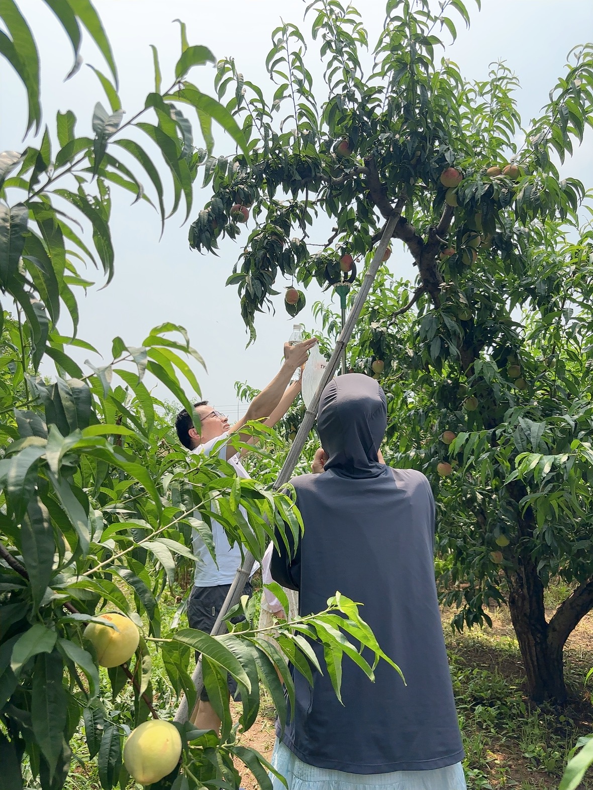 Actividad de Team Building de Beijing Zhongping — Abrazando la Naturaleza3
