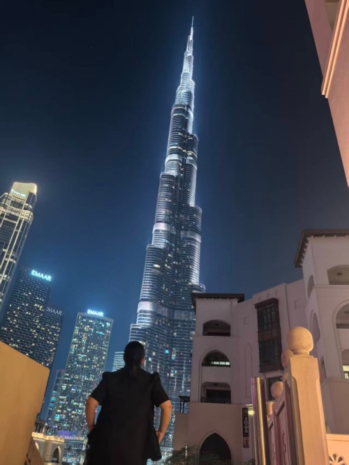 Cultivo Profundo, Empoderando el Futuro: Una Crónica de la Tecnología de Zhongping' Viaje industrial en Oriente Medio6