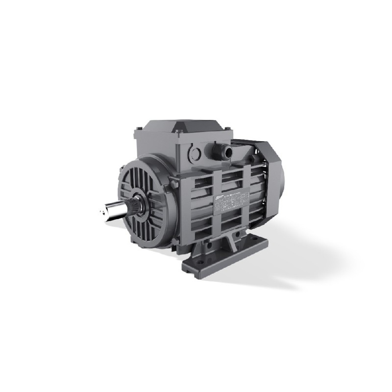 Motor LSPM GESHI FTYP 0.55-15kW IE4 de Arranque Directo IP55