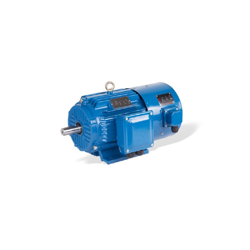 Motor para inversor VFD GESHI YVF2 de 0.55-315kW IP54